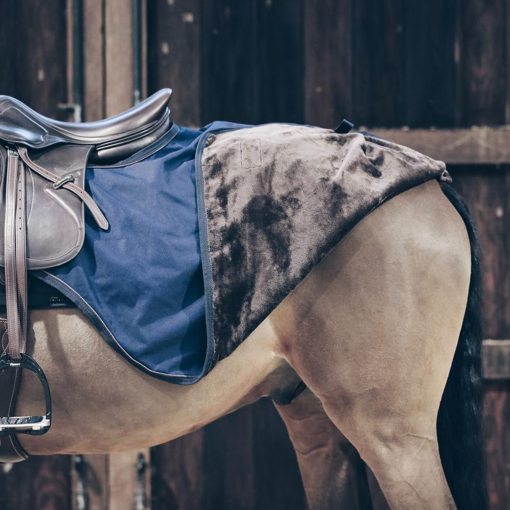 Riding rug All Weather 160g