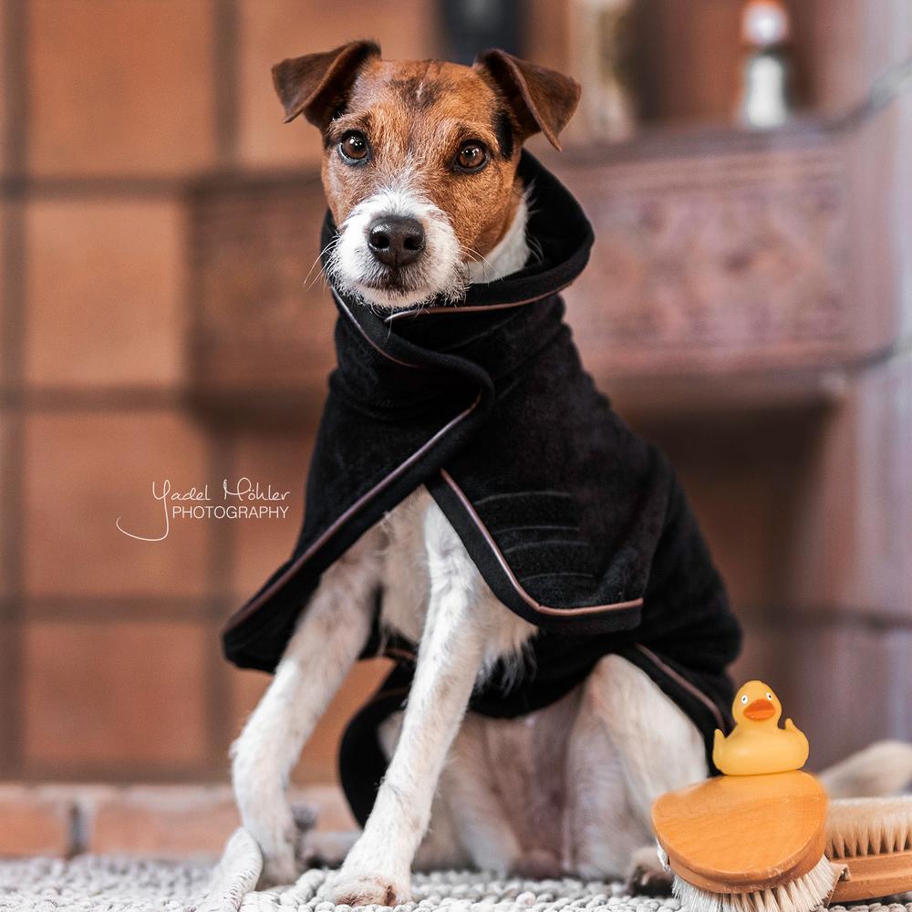 Hundemantel Towel in schwarz