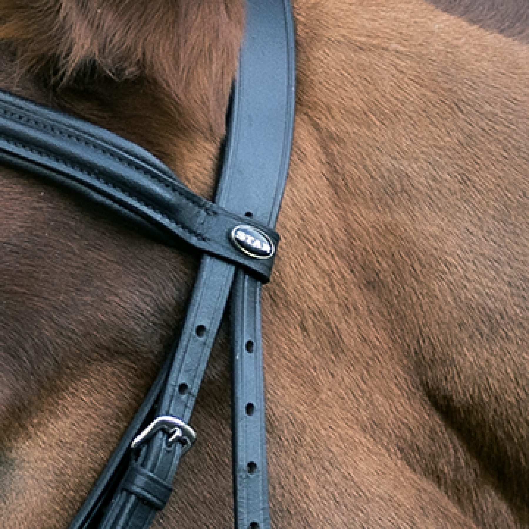 Snaffle Hanover