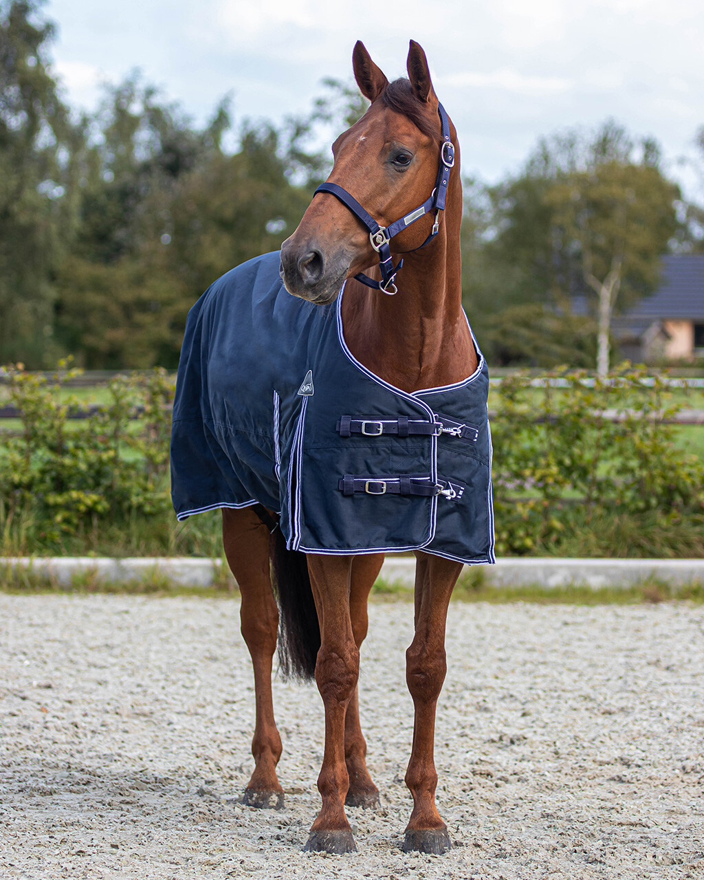 Couverture de pluie Turnout Luxe 100gr
