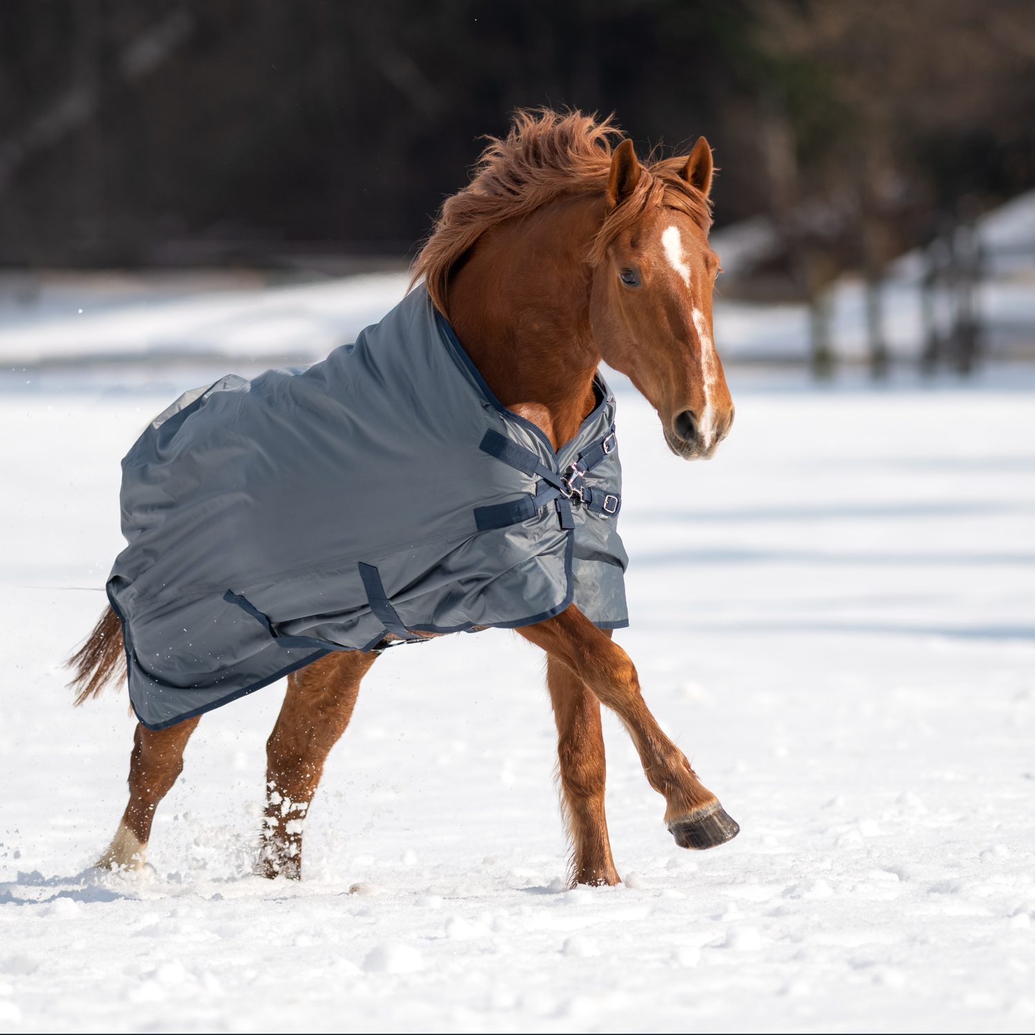 Outdoor blanket Windchill 00