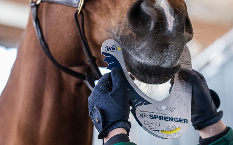 Gebissweite bestimmen Nahaufnahme Gebissweitenmesser von SPrenger am Pferdemaul