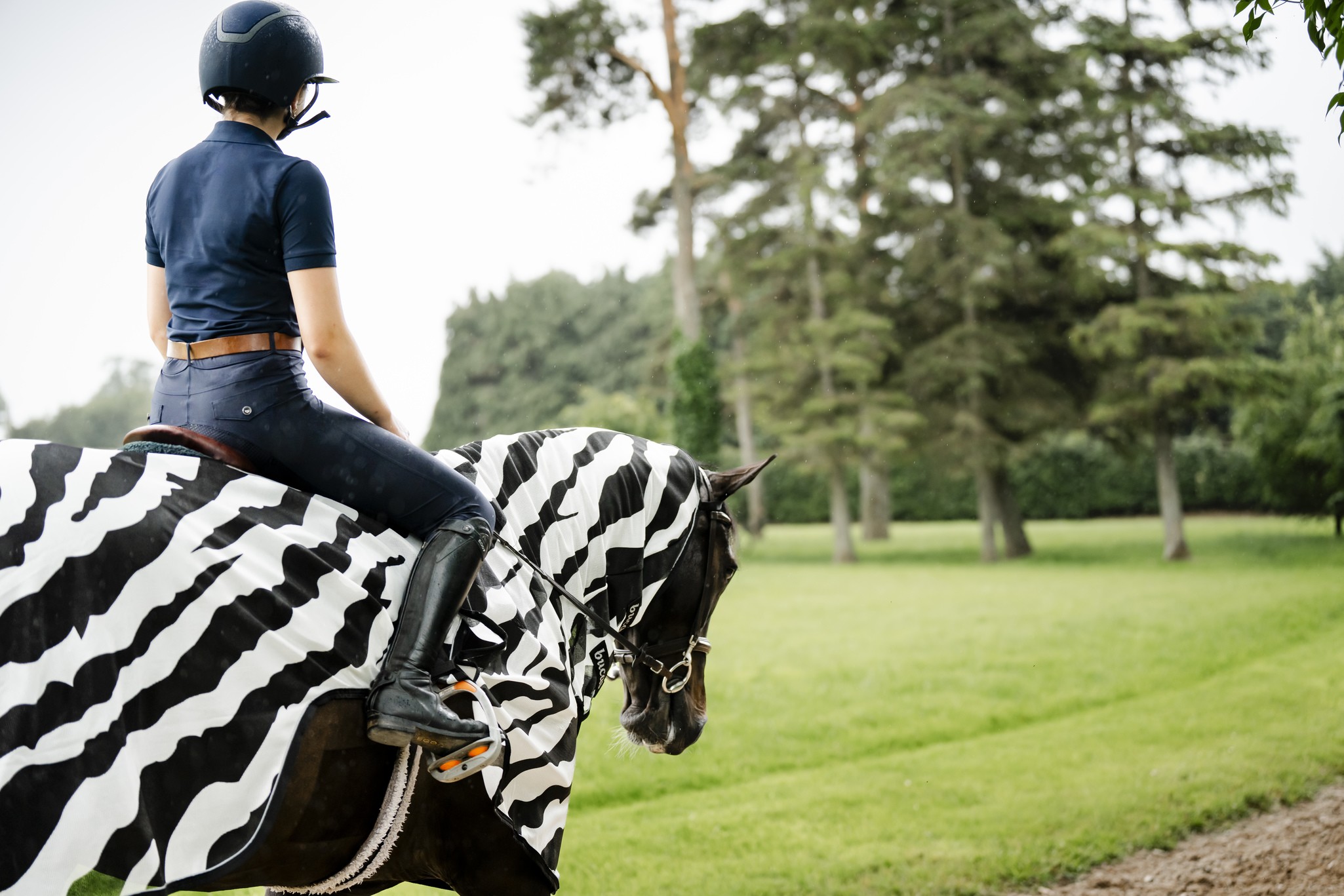 Fliegendecke Buzz-Off Riding in Zebra/Black