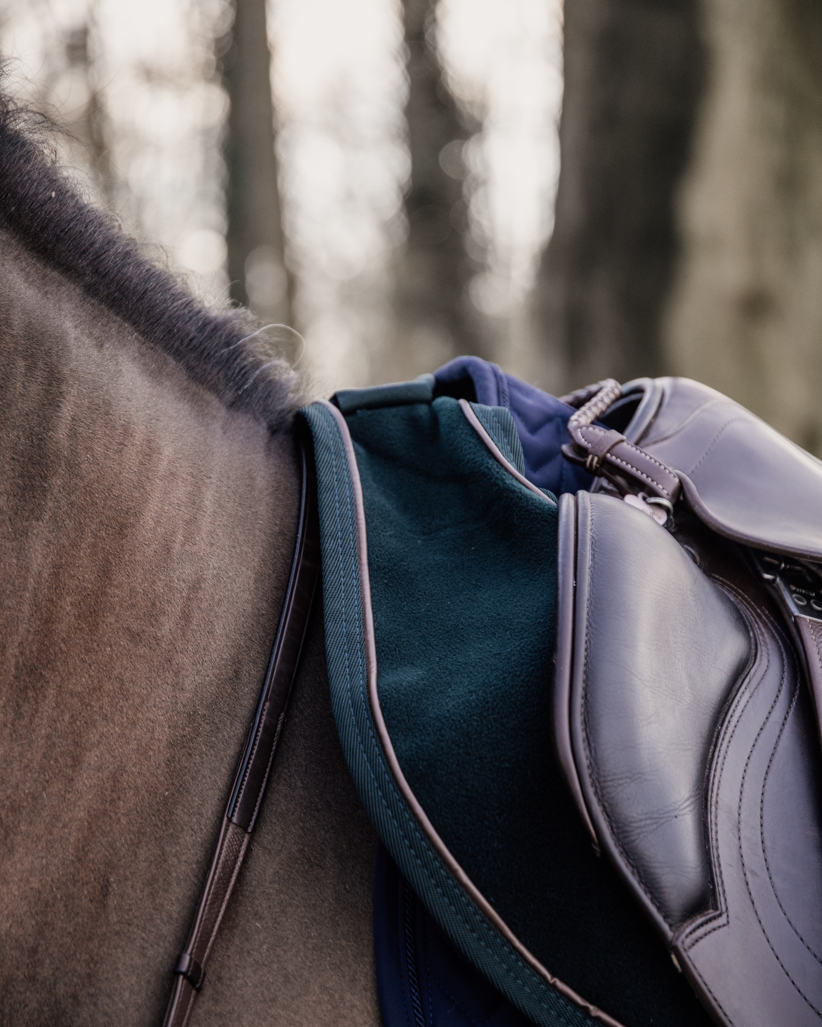 Riding rug heavy fleece