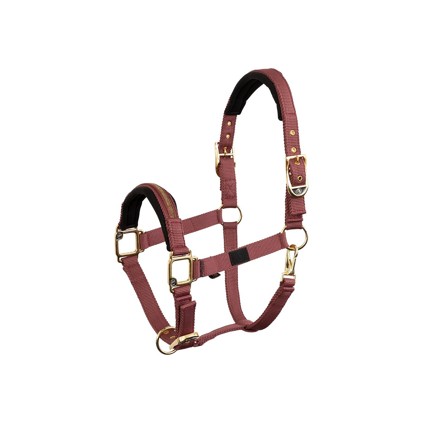 Halter Lieve
