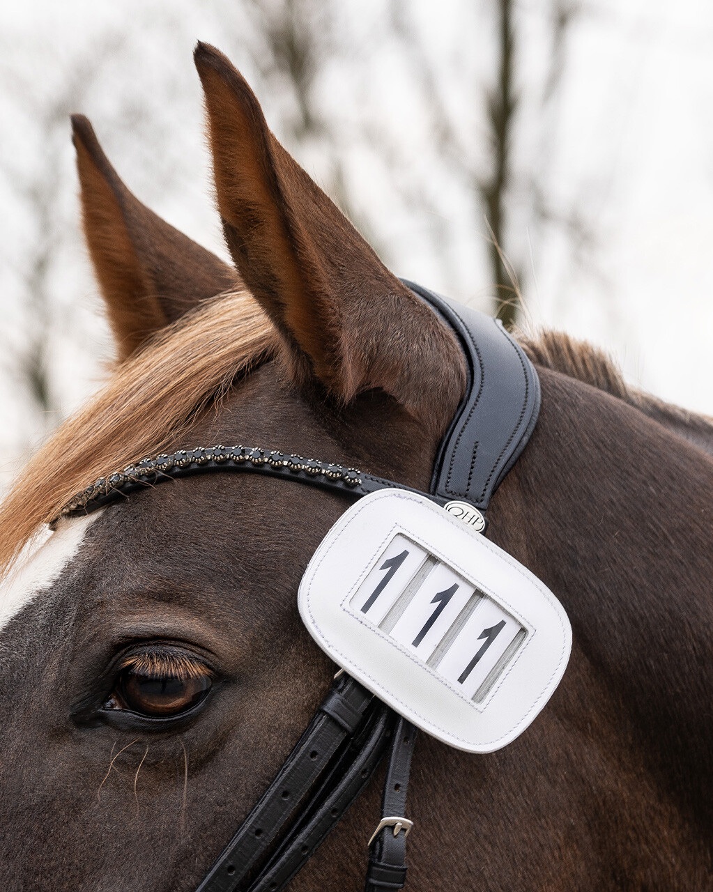 Modeste Square bib holder