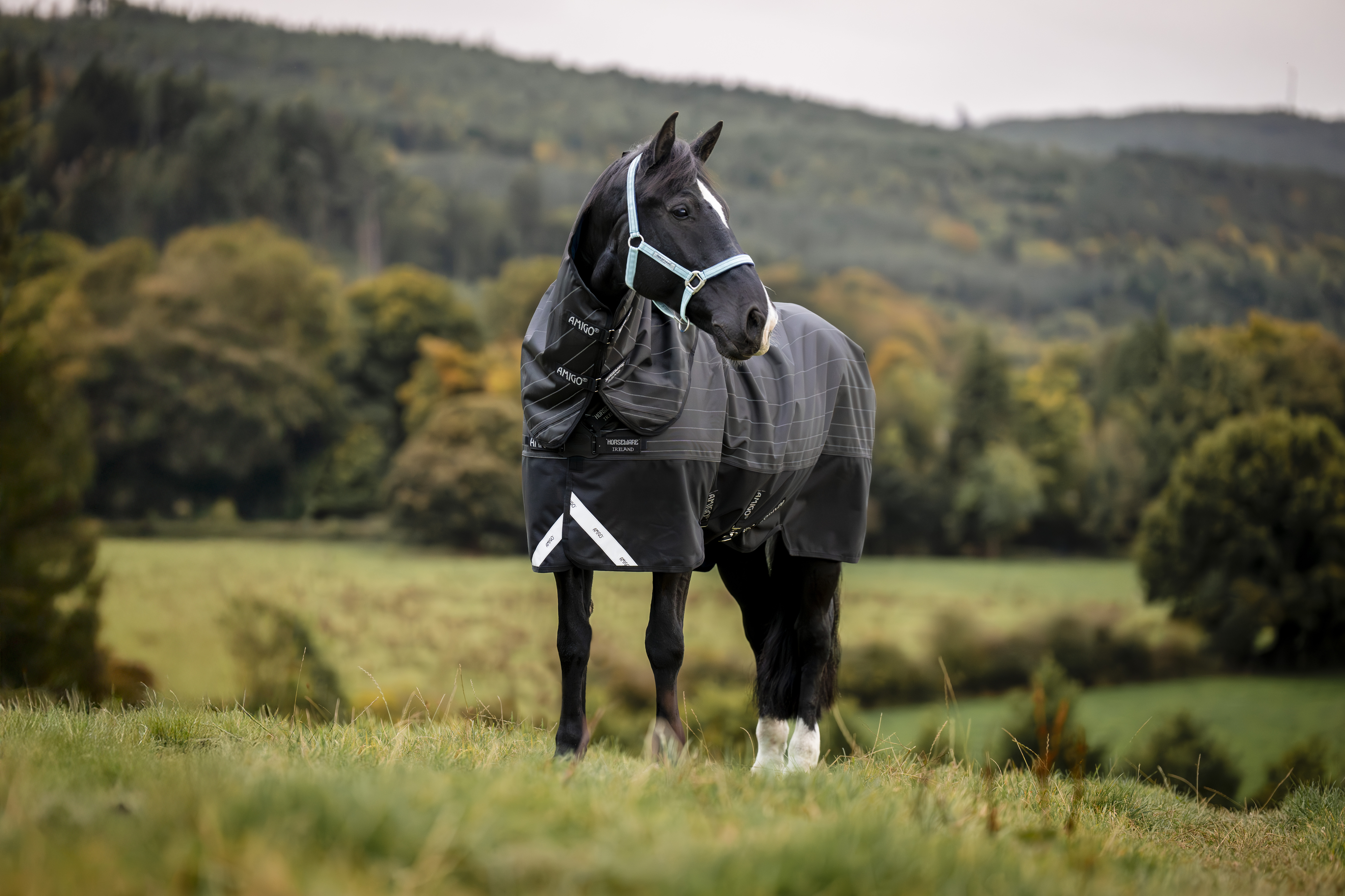 Outdoordecke Amigo 1200D FieldSafe Reflectech Plus Turnout 50g in Black/Reflective & Black