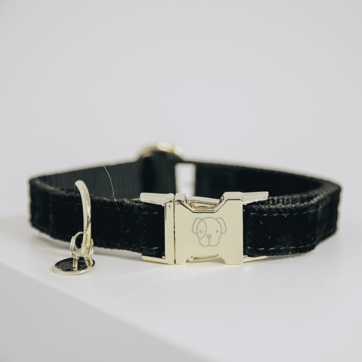 Hunde Halsband Corduroy | Kentucky Dogwear Hunde Halsband Corduroy | Kentucky Dogwear