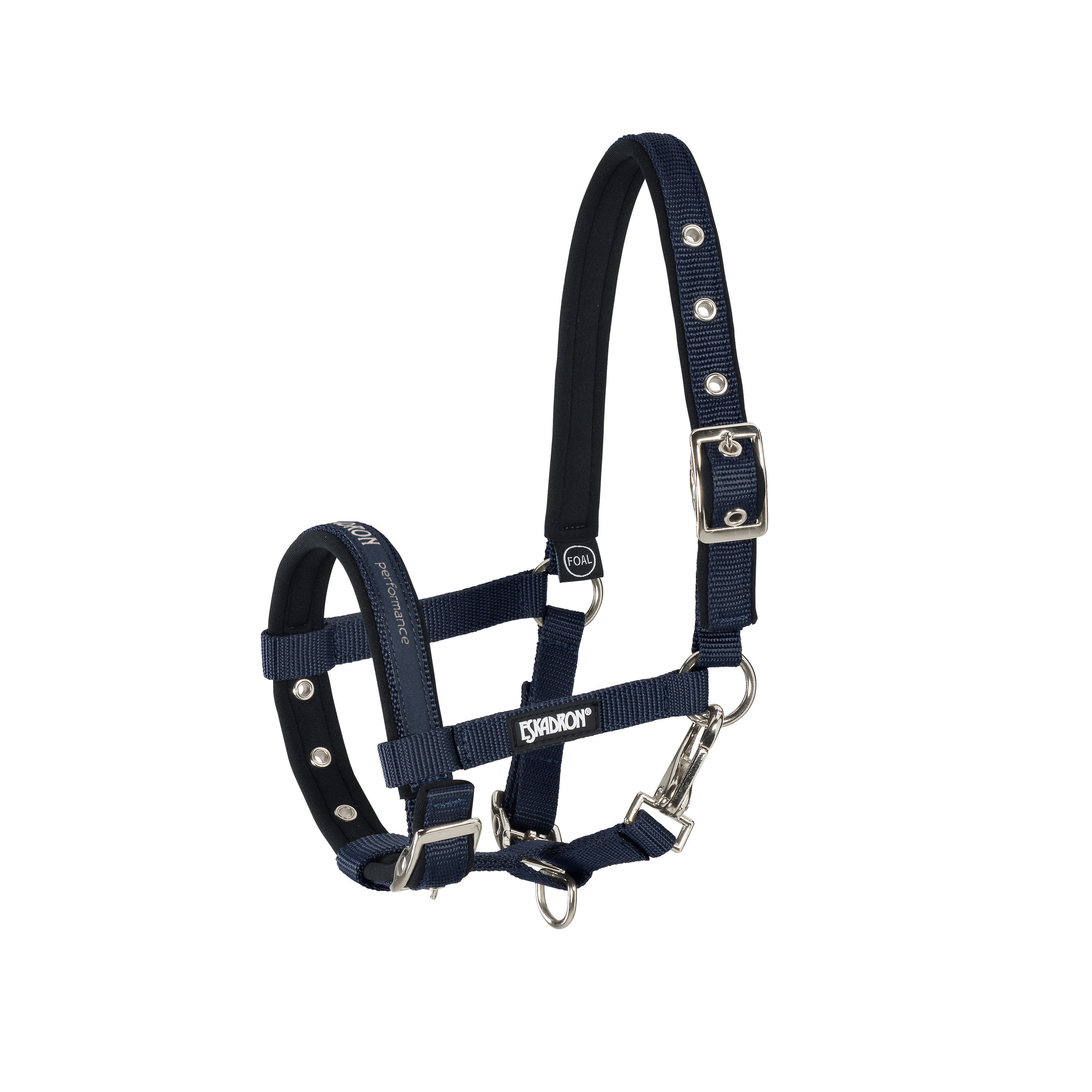 Foal halter