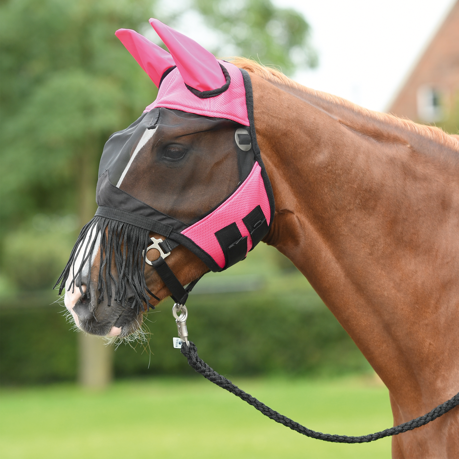 Fliegenmaske Fly Cover Fransen Fliegenmaske Fly Cover Fransen