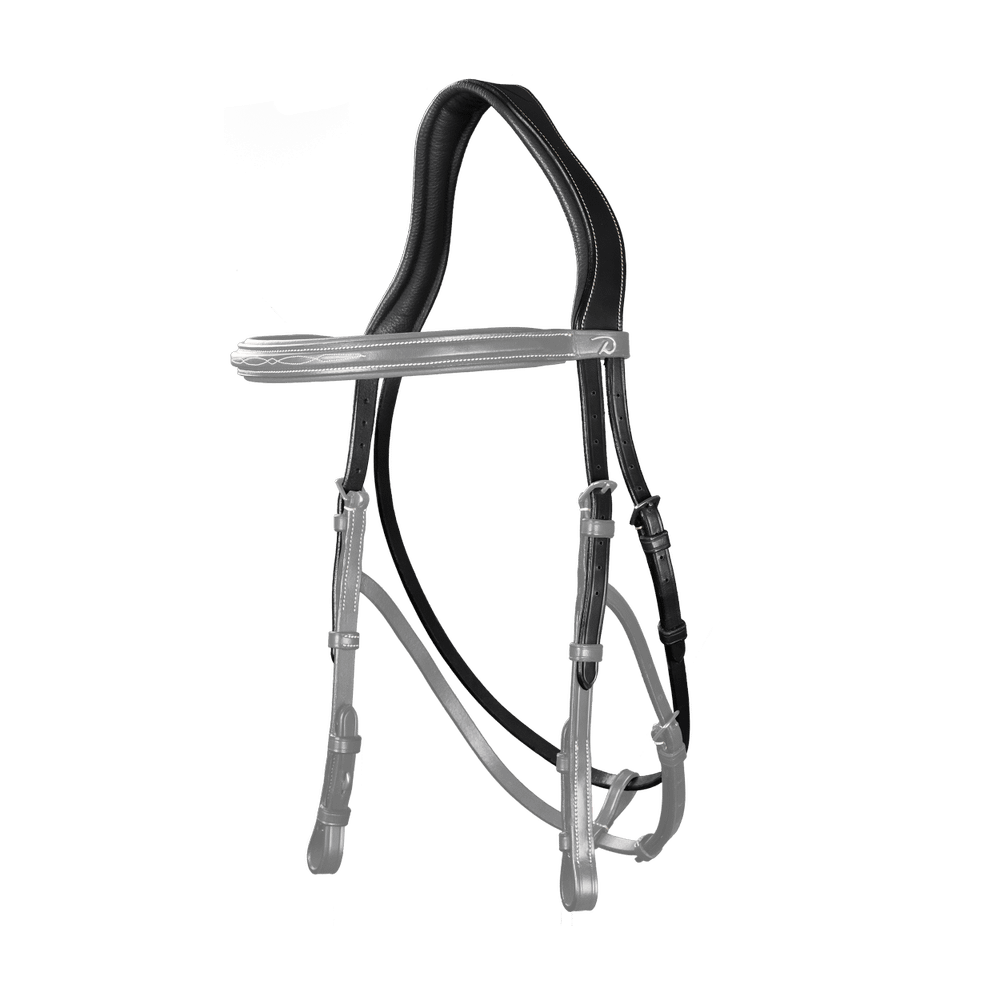 Têtière Hackamore