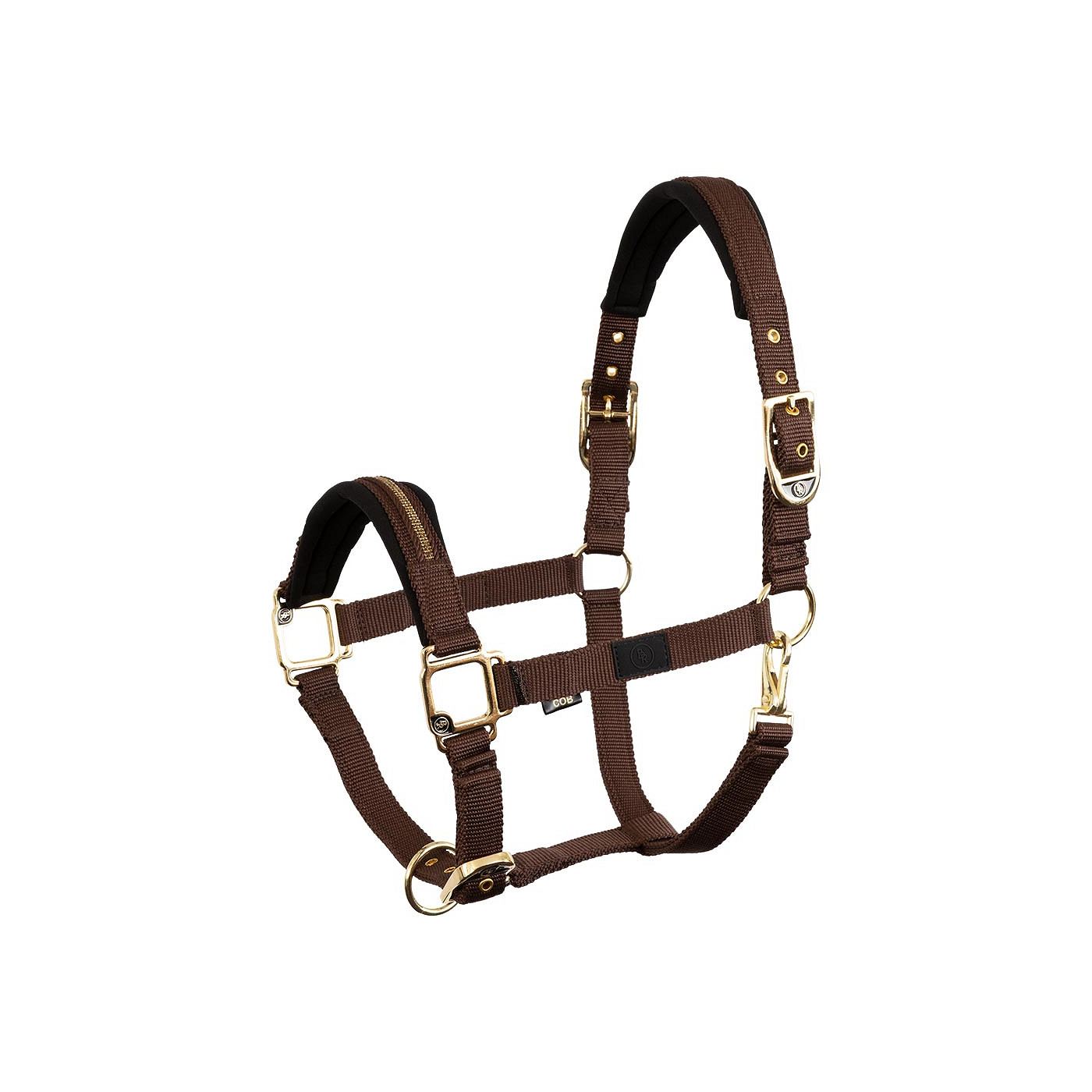 Halter Lieve