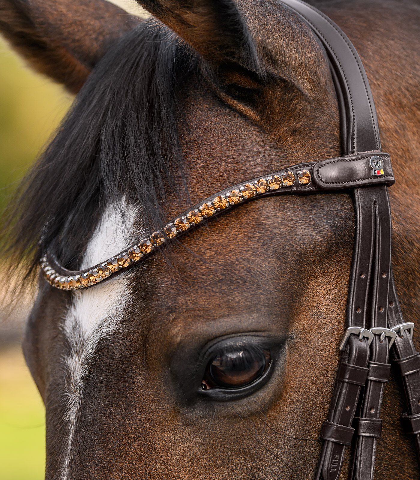 X-Line Browband Shine, brown