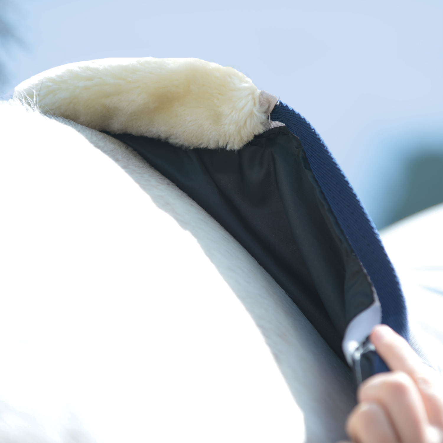 Sommerdecke Early Season