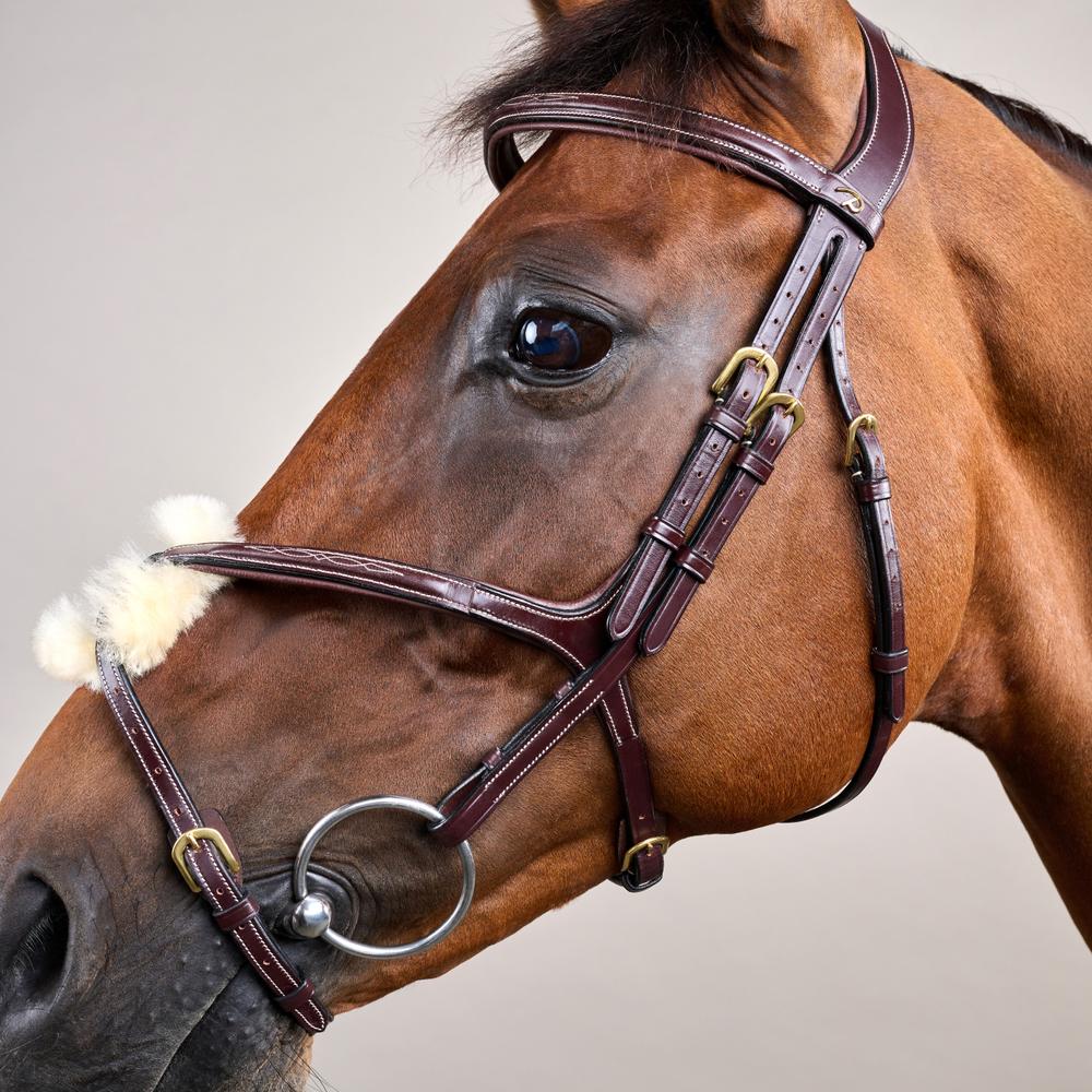 Trense mit mexikanischem Reithalfter DY | Dy'on
