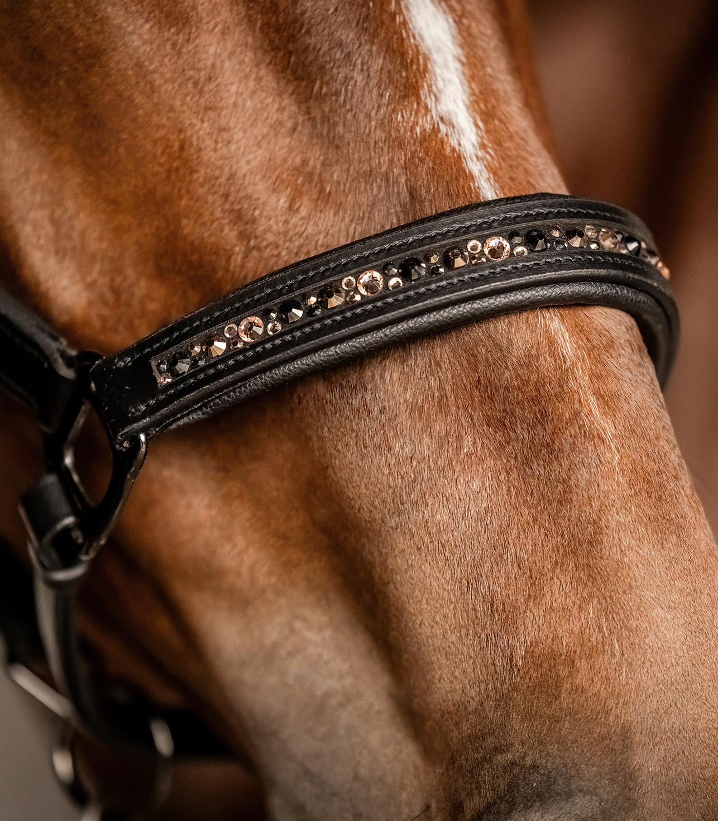 Leather halter Crystal Leather halter Crystal