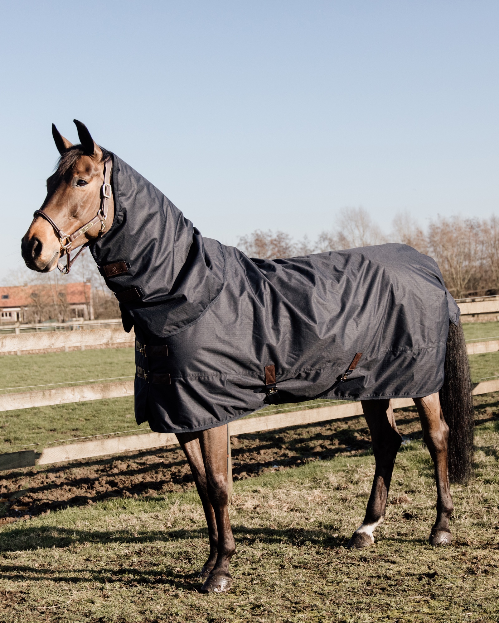 Outdoor rug All Weather waterproof Classic 50g