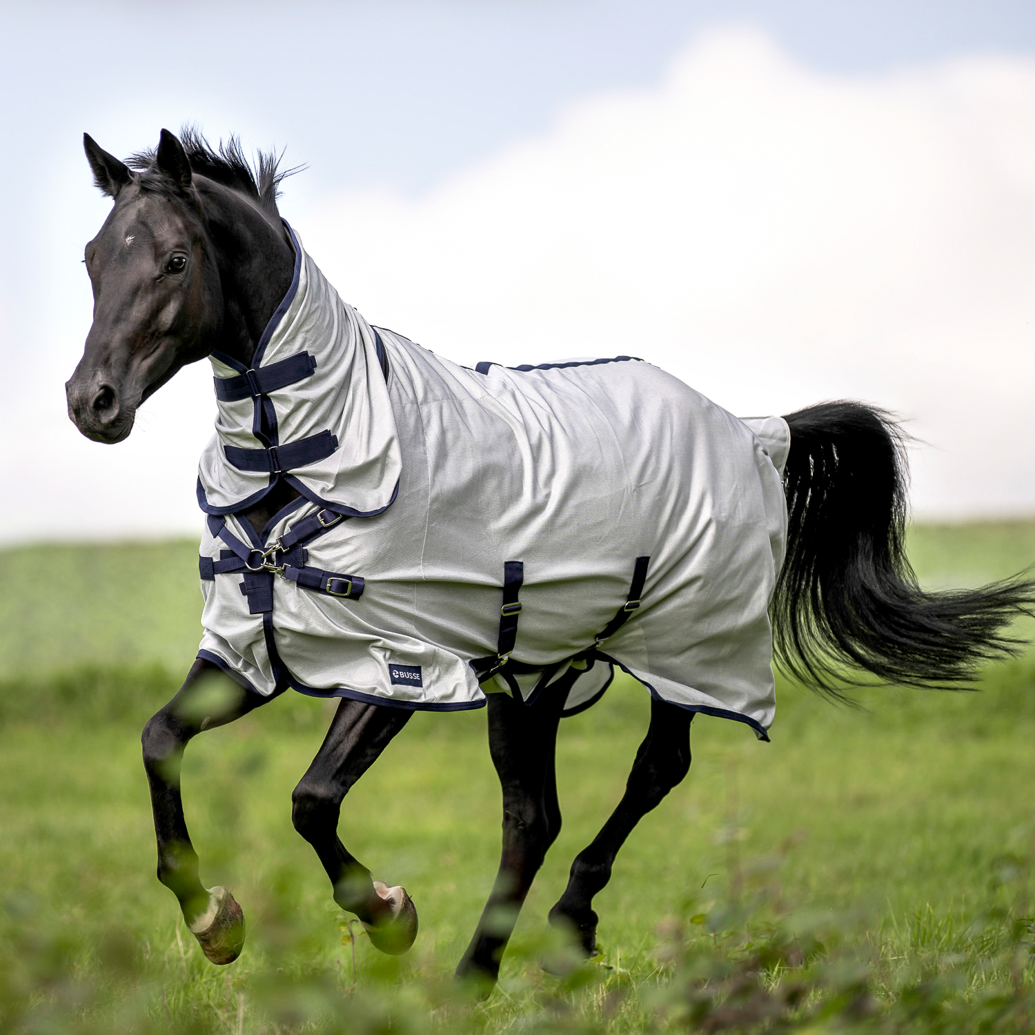 Outdoor fly rug Superb