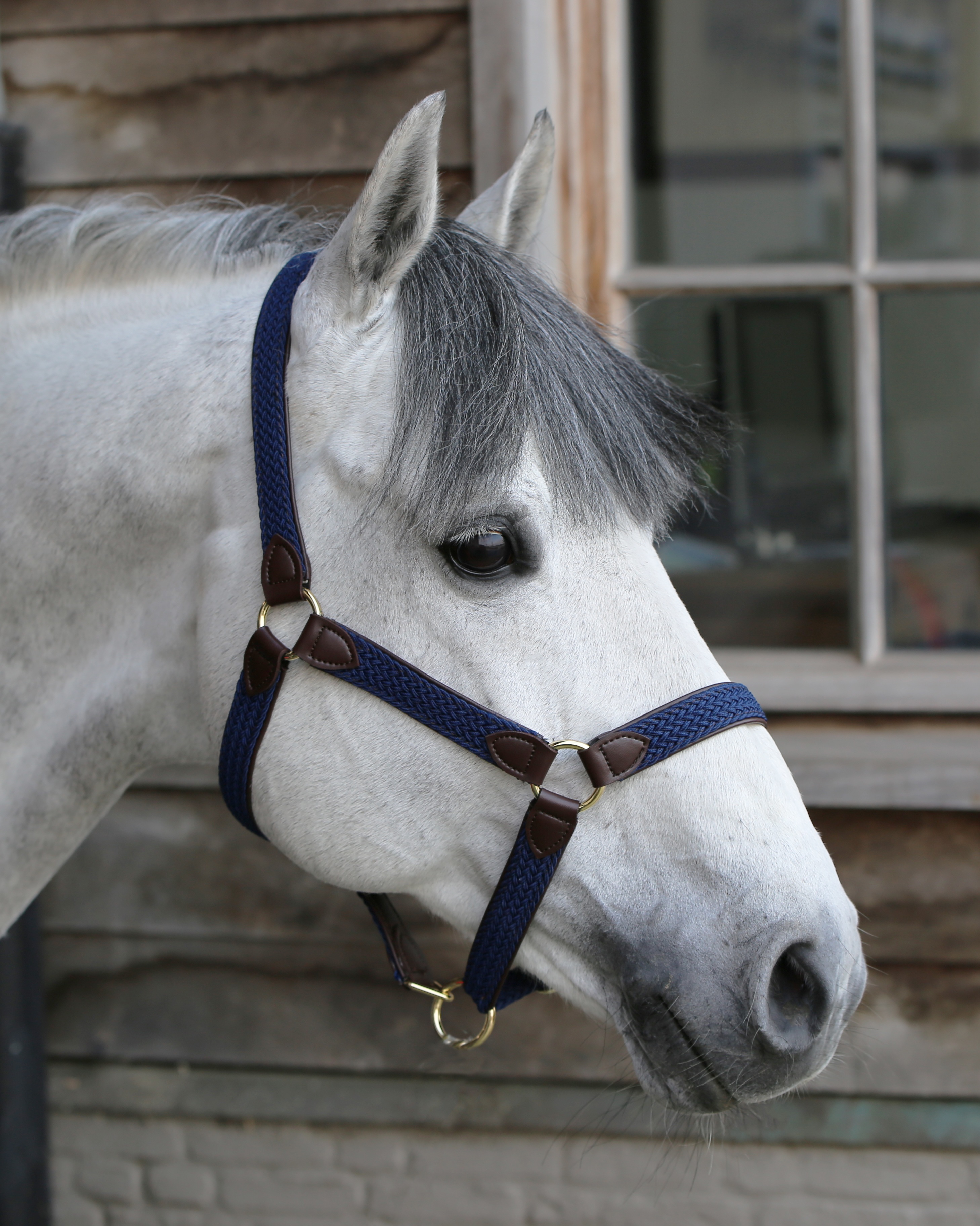 Halter Braided Nylon