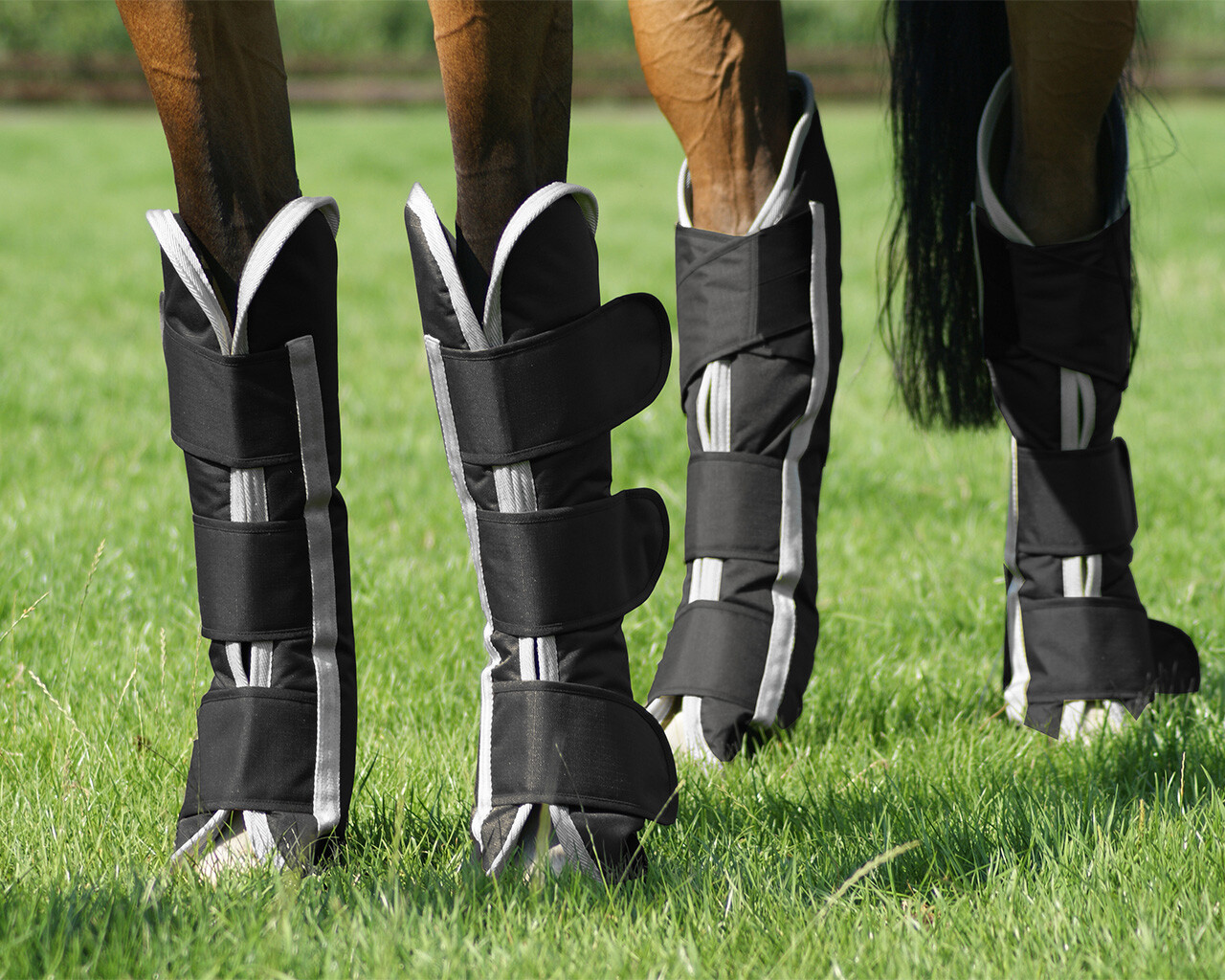 Turnout boots
