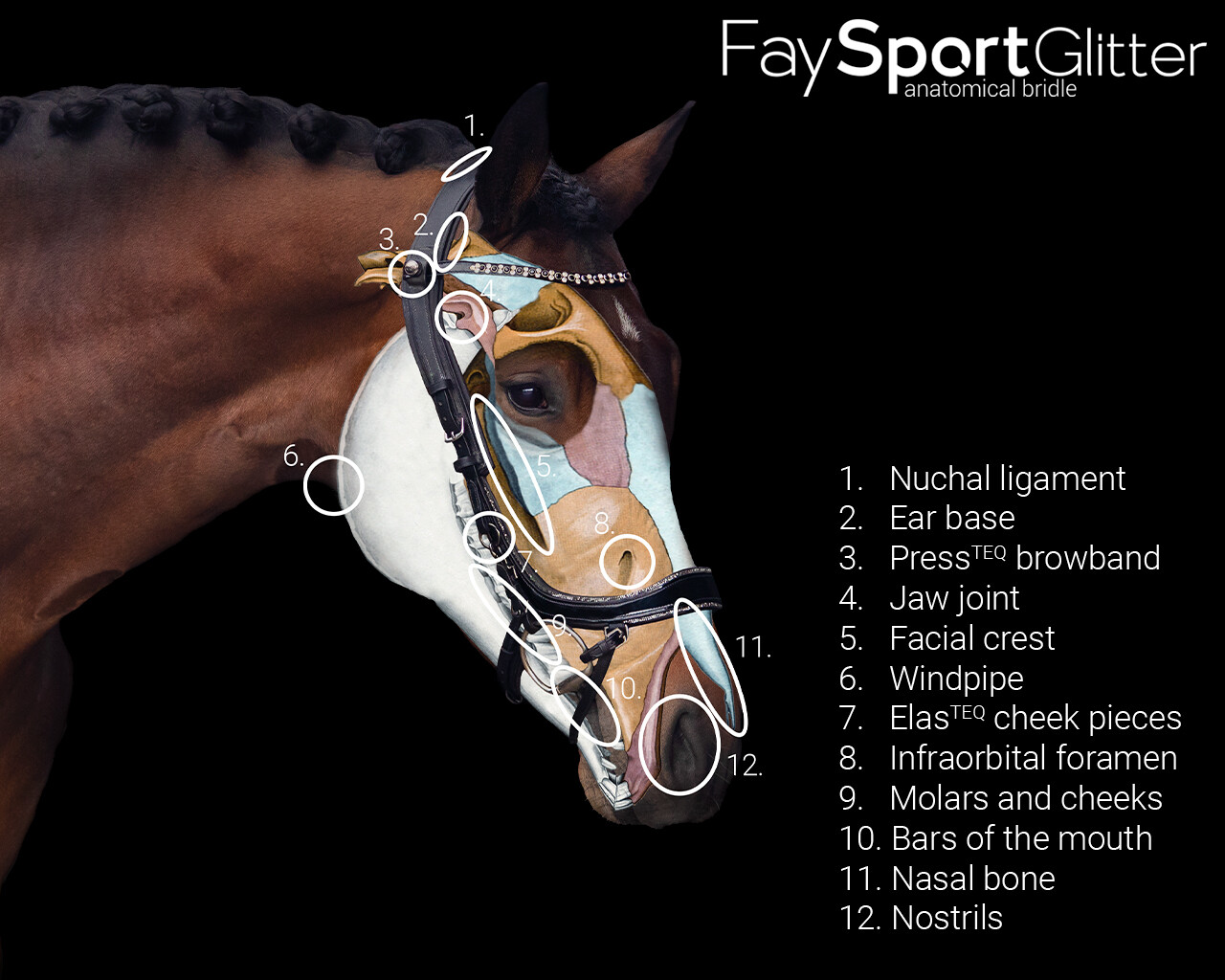 Bridle FaySport Glitter