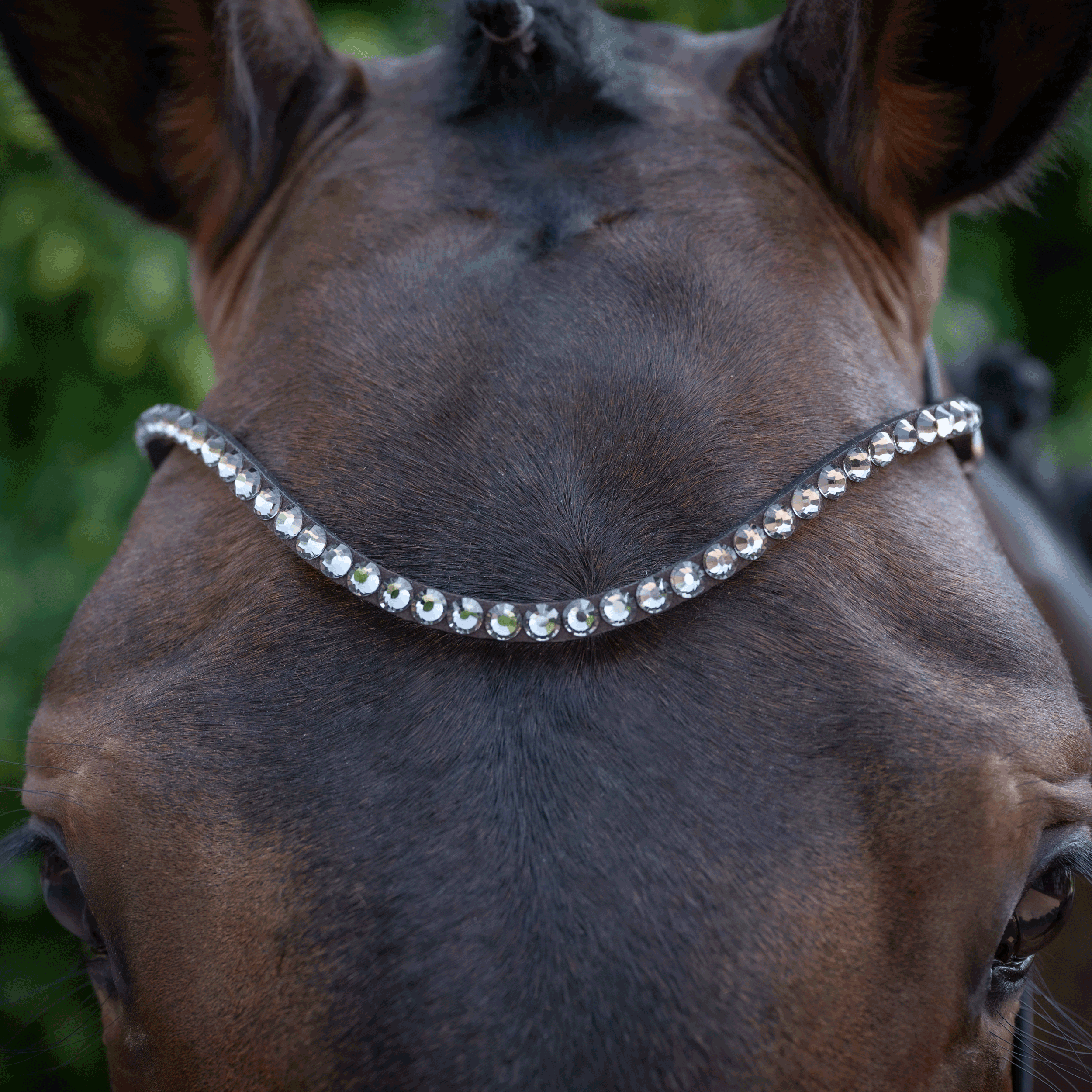 Browband CHOOSE IT