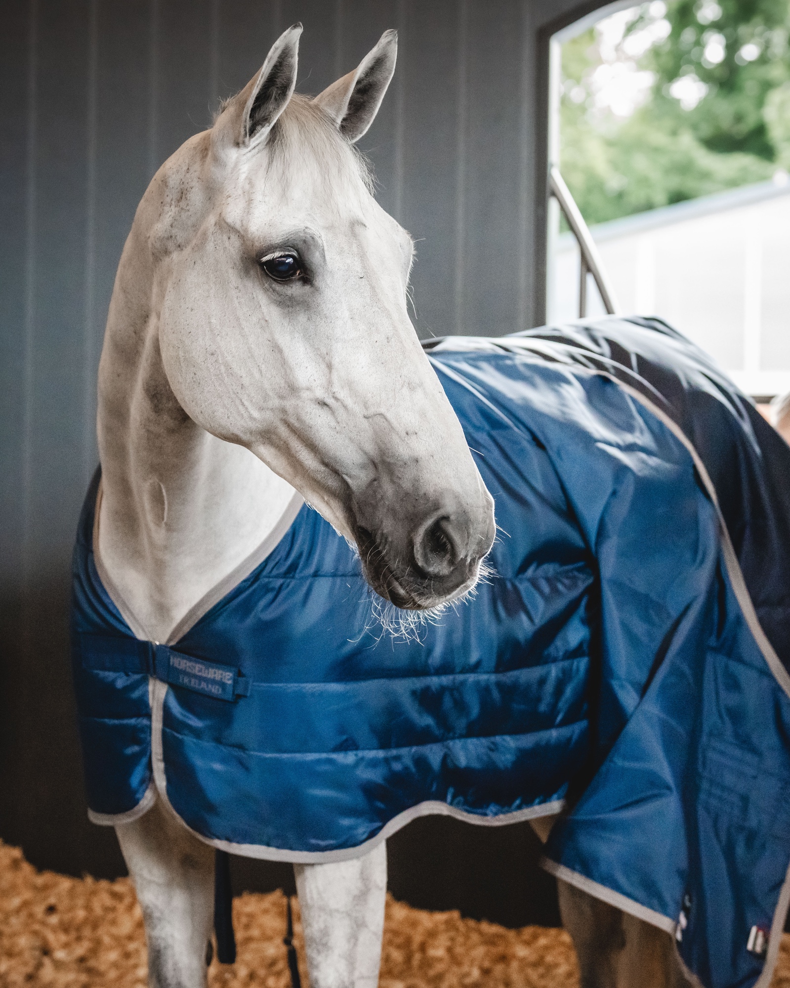 Liner Ionic Therapy 50g in imperial blue