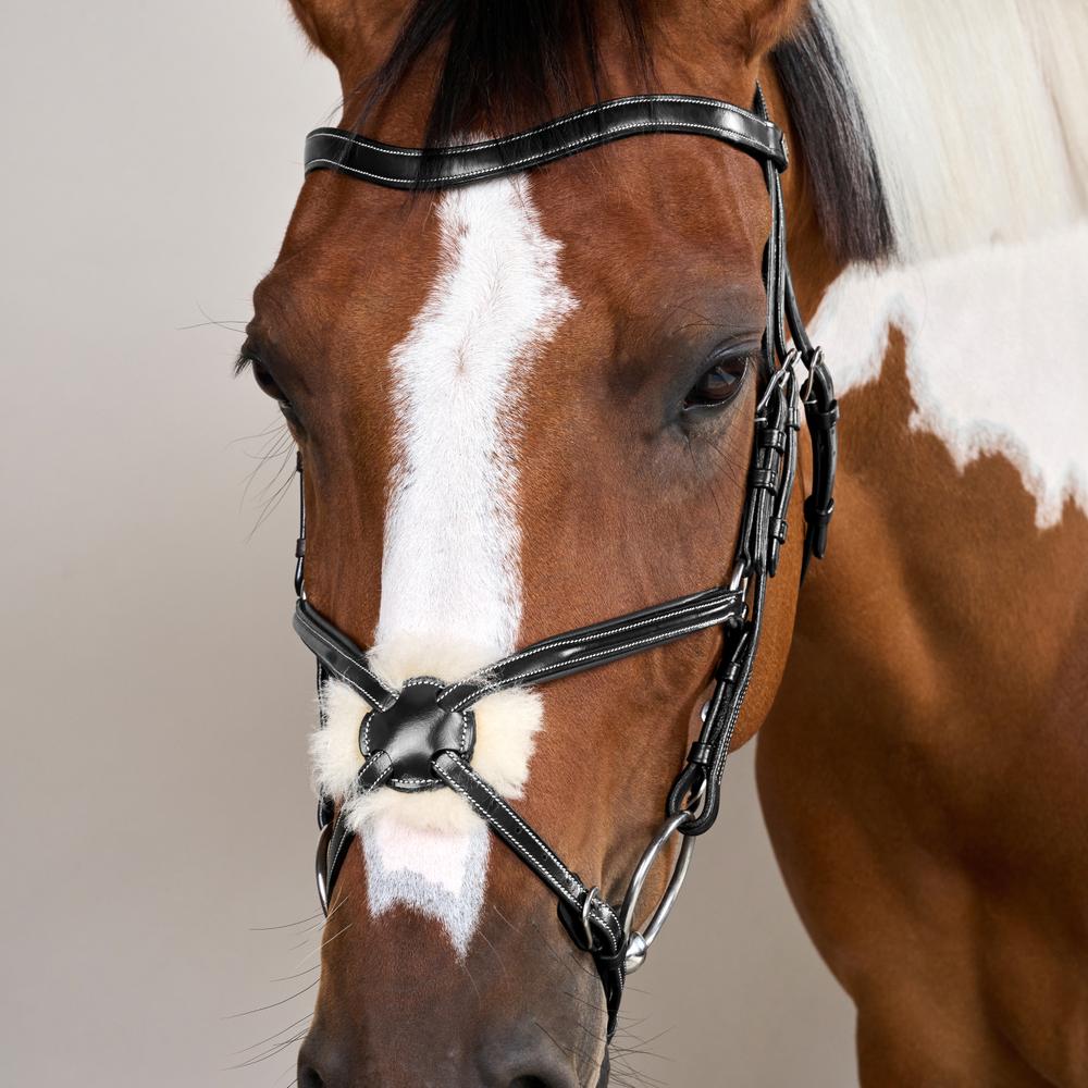 Trense mit mexikanischem Reithalfter WO
