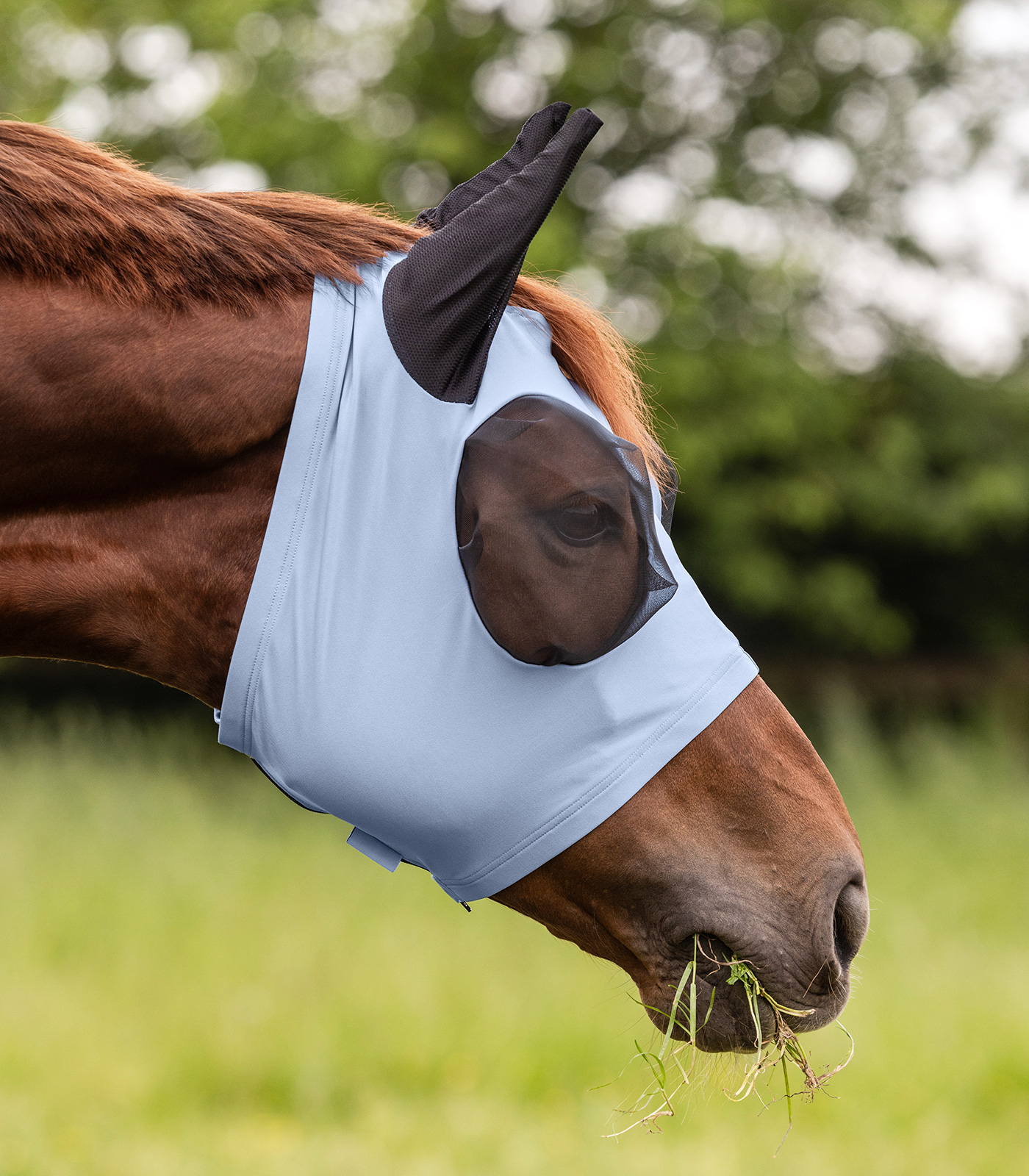 Puck fly mask