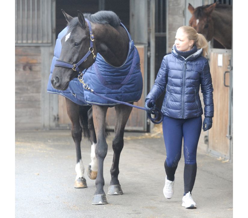 "Halifax" 2in1 Stall- und Führanlagendecke 200g