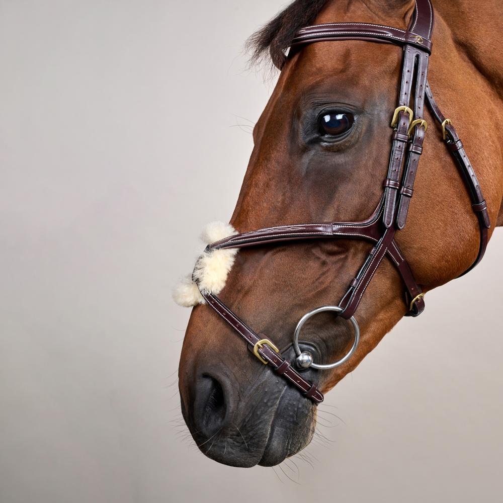 Trense mit mexikanischem Reithalfter DY | Dy'on