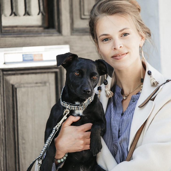 Pied-de-Poule dog collar