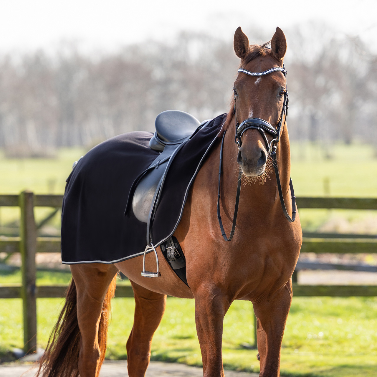 Riding rug fleece with ornament