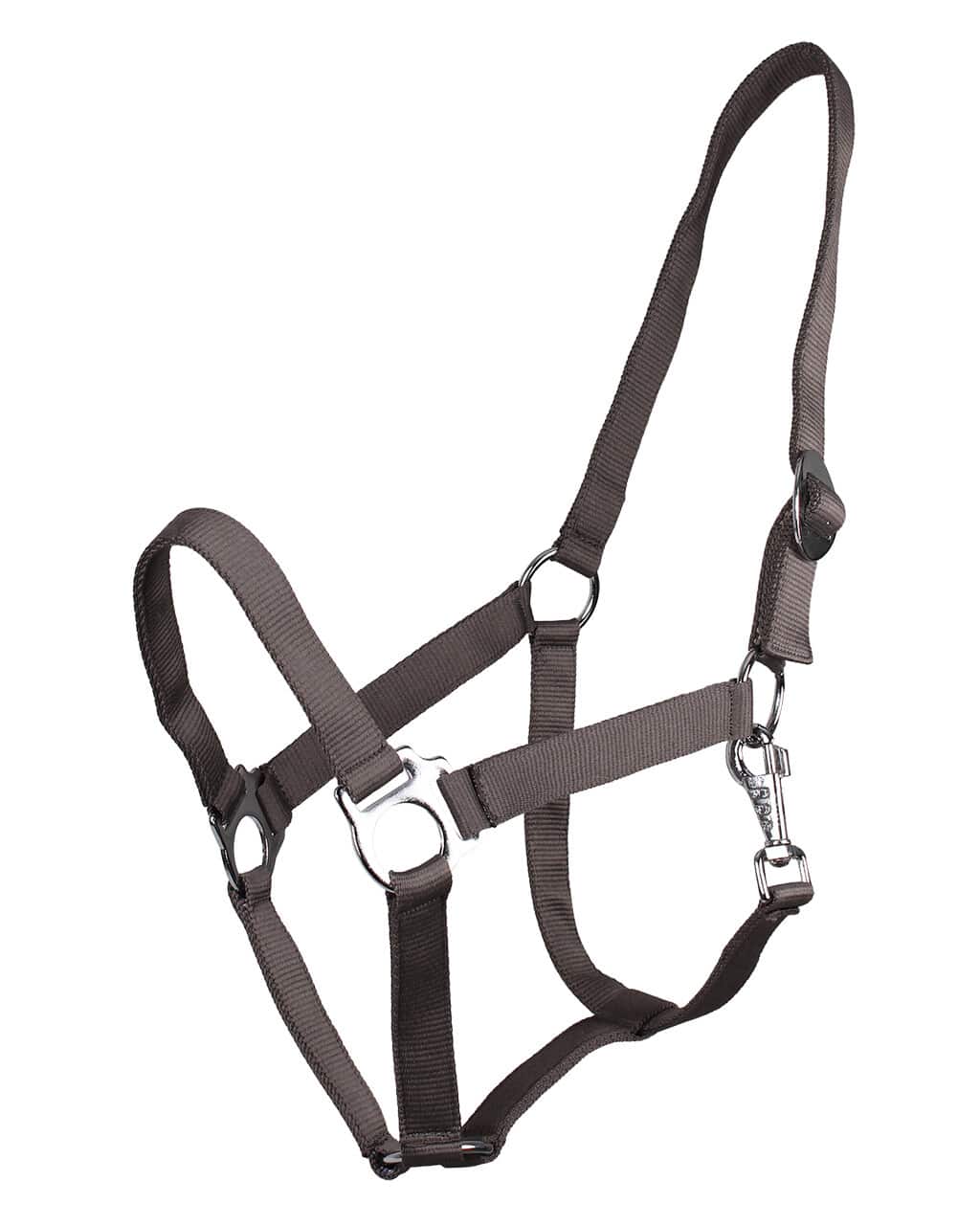 Halter with sliding buckle