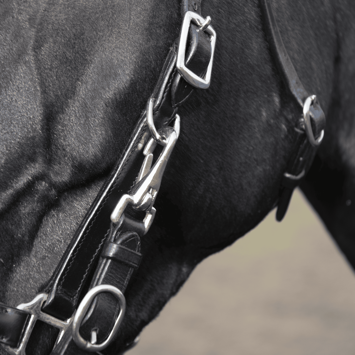 Travelling bridle Solibel