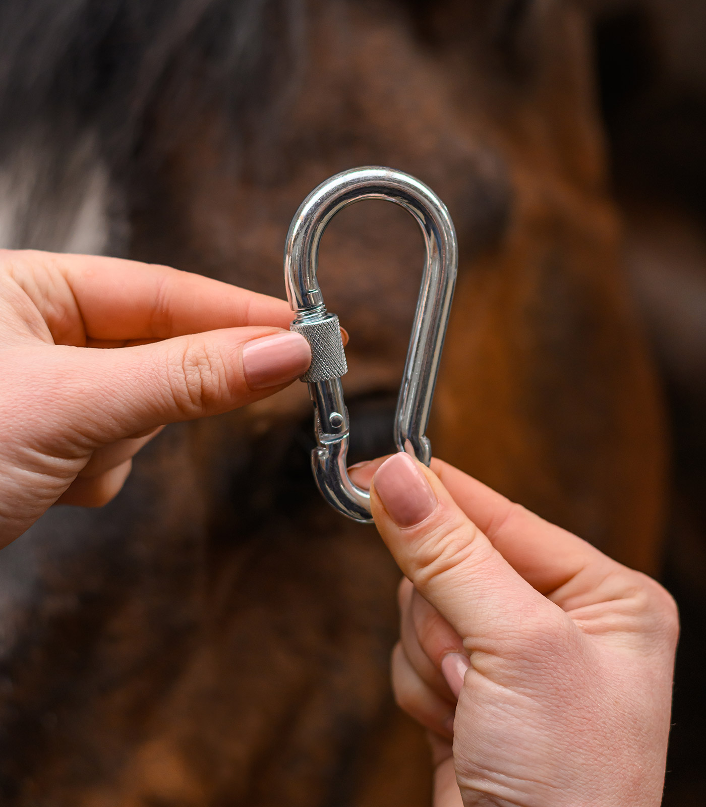 Safety Carabiner with screw cap 9cm