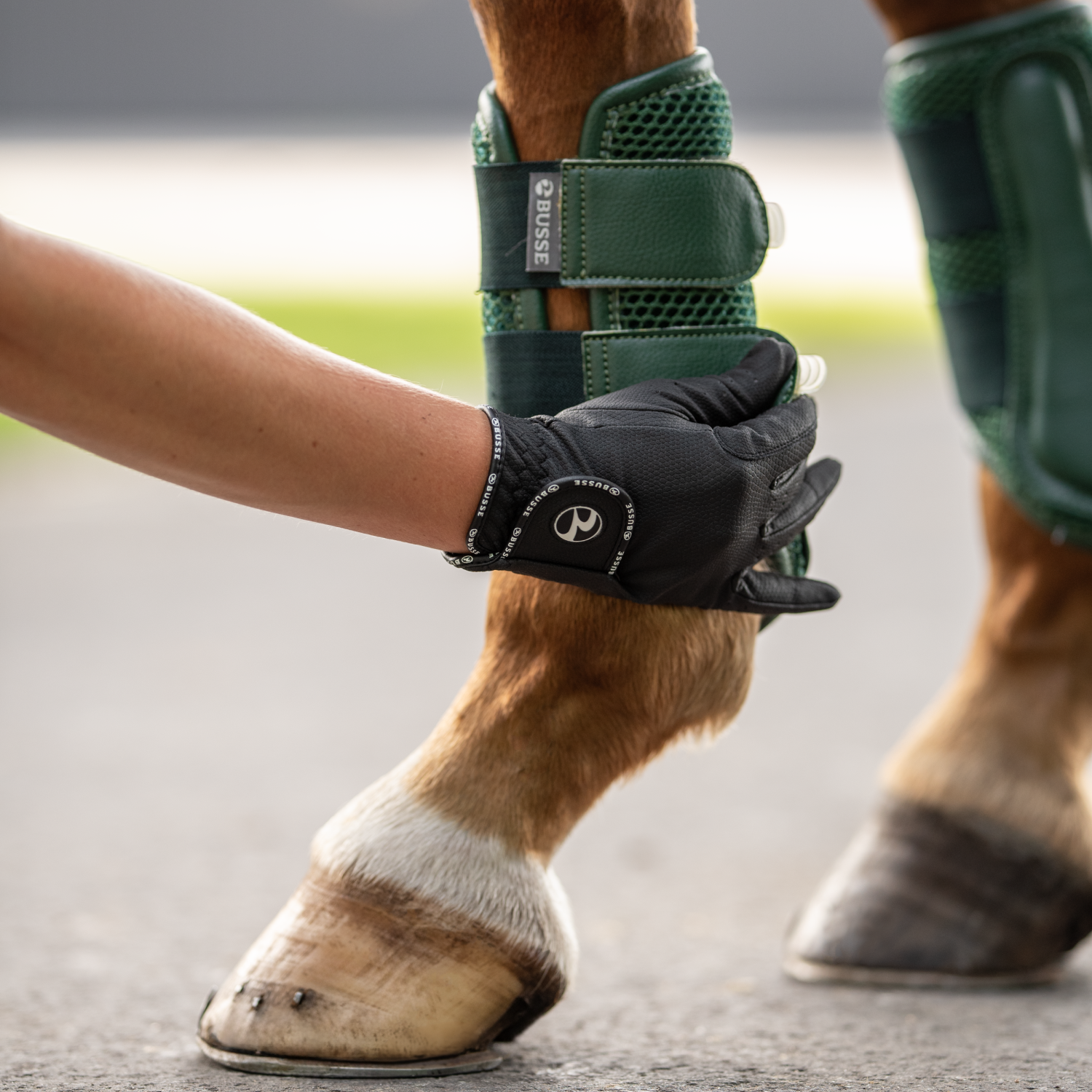 Reithandschuhe Casual GP