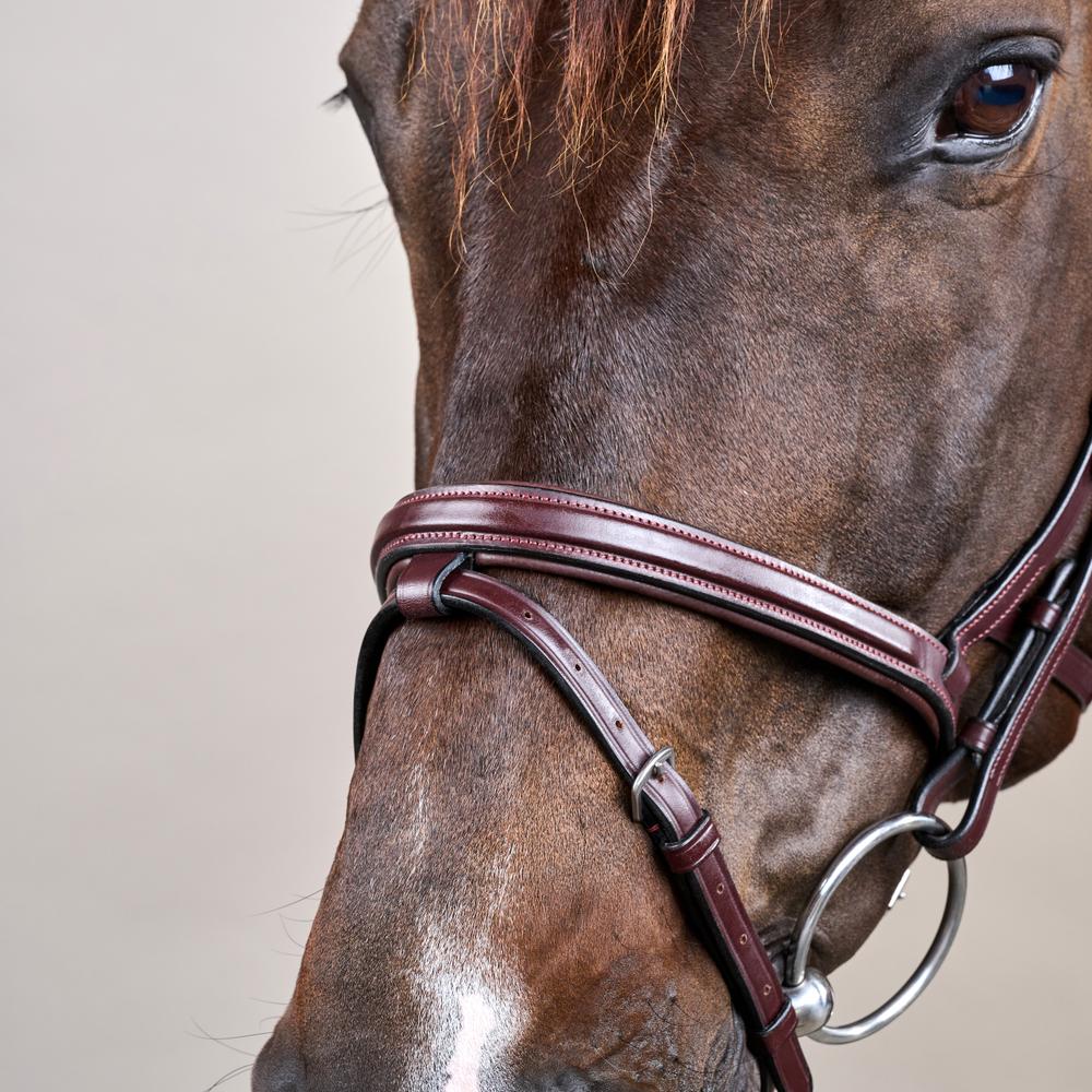 Difference Trense NE