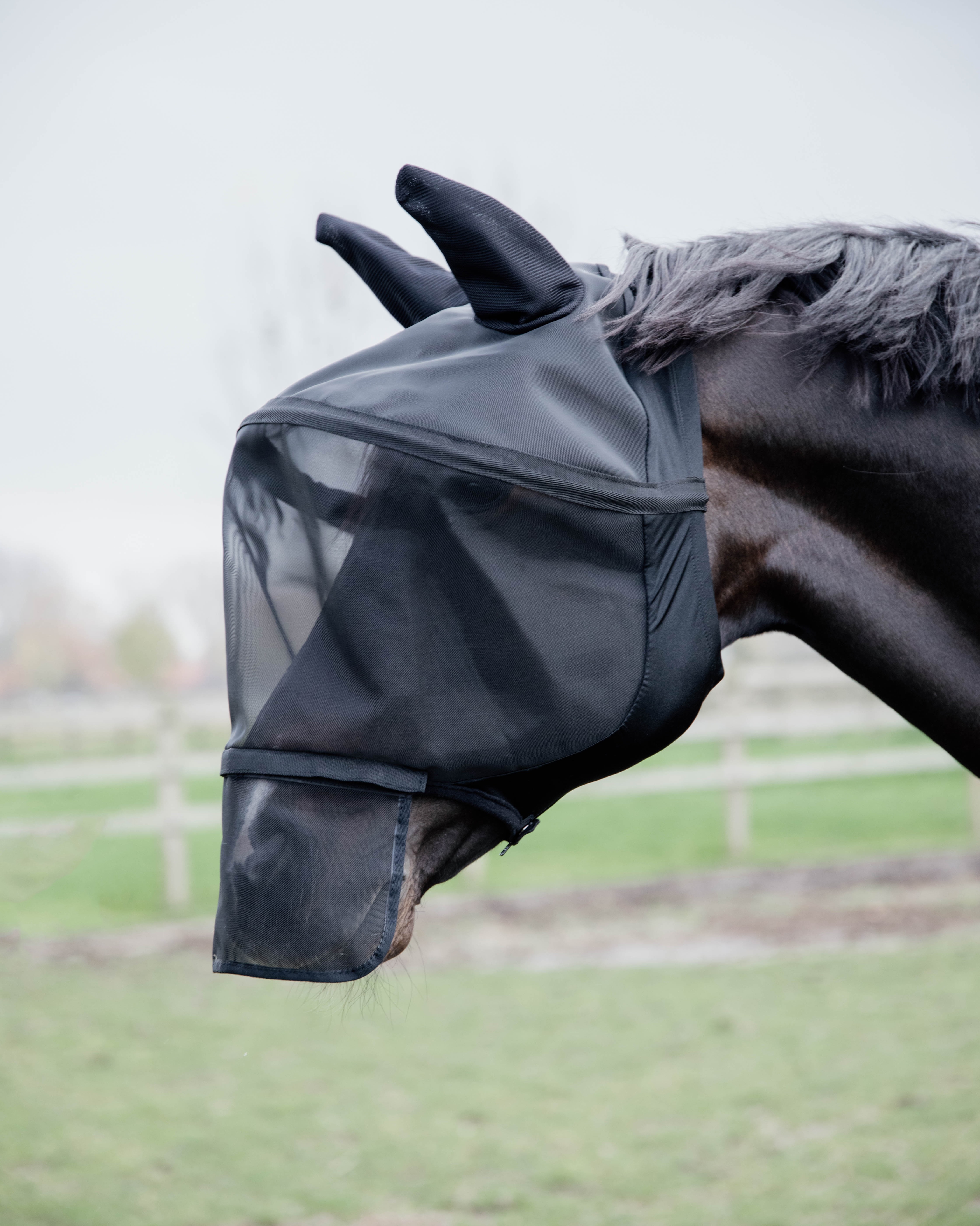 Fly mask Pro