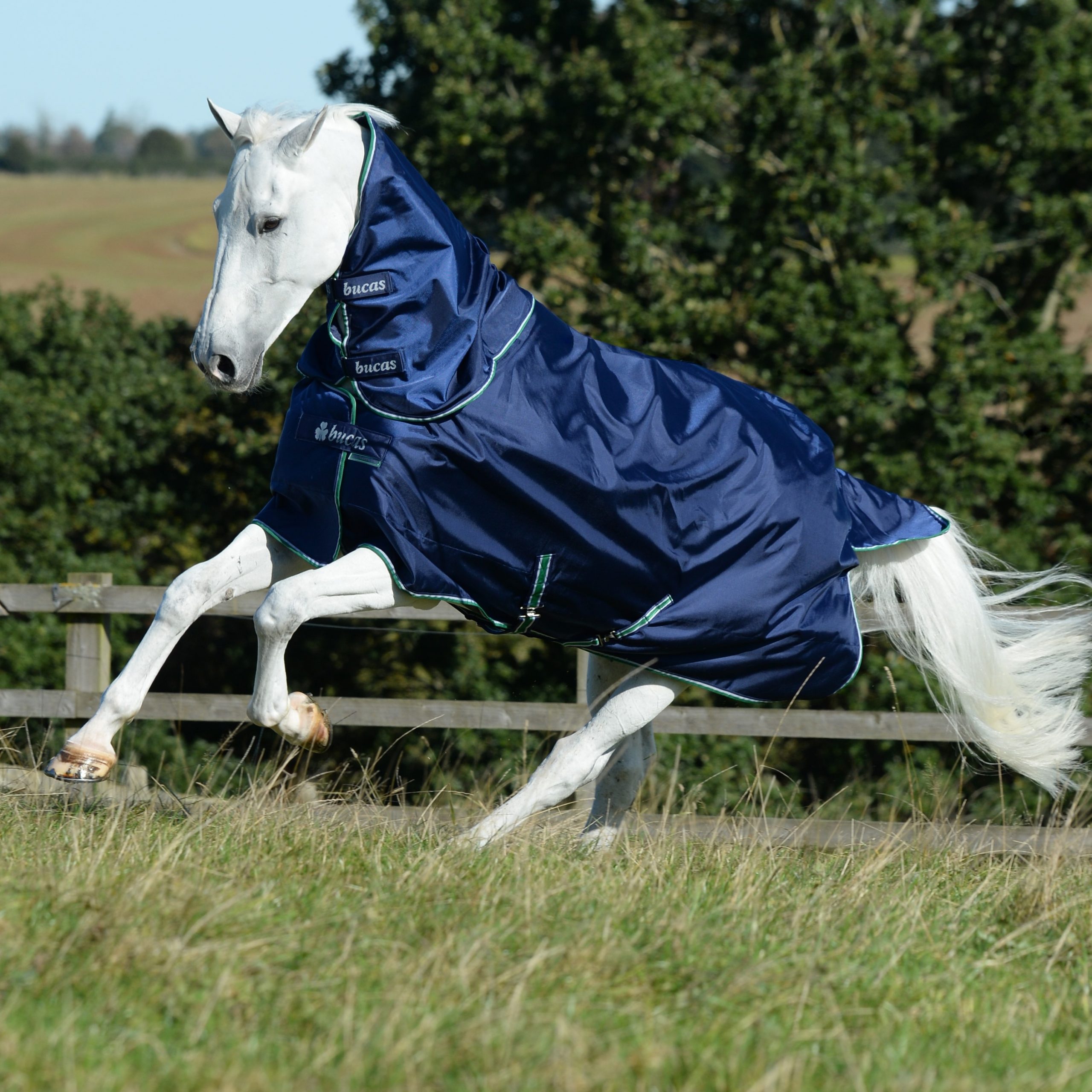 Halsteil Smartex Turnout Neck in Blue