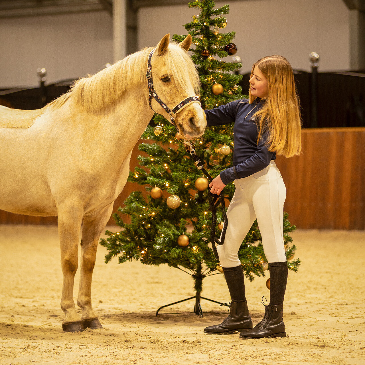 Christmas halter