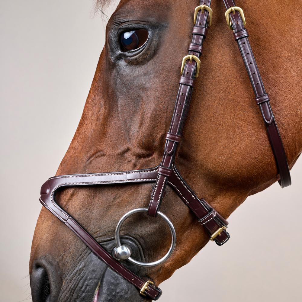 X-fit Trense DY | Dy'on