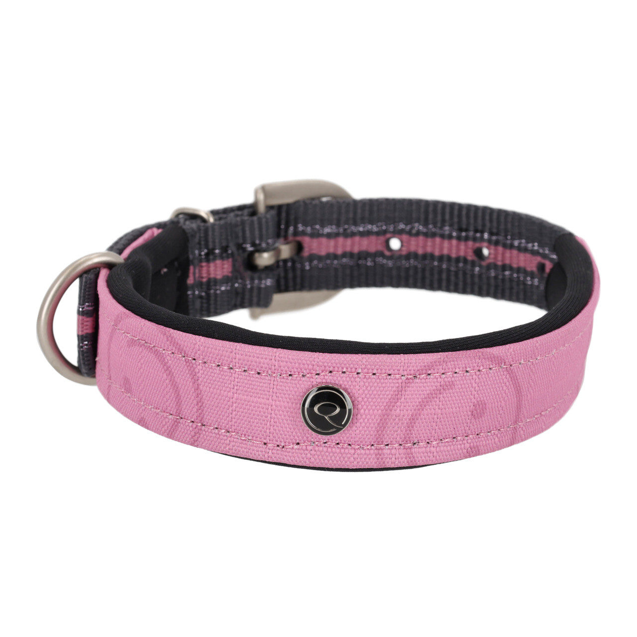 Hundehalsband Collection