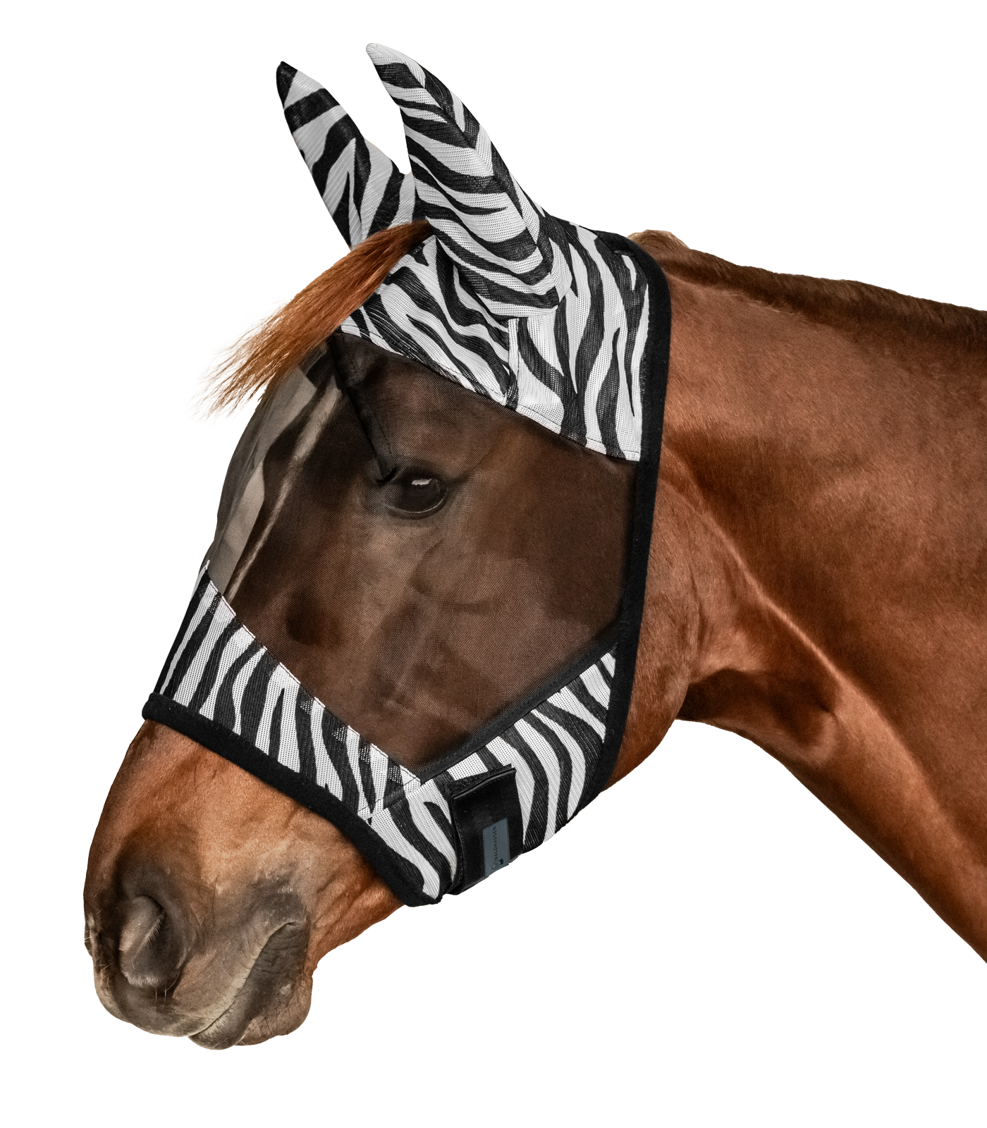 Zebra fly mask