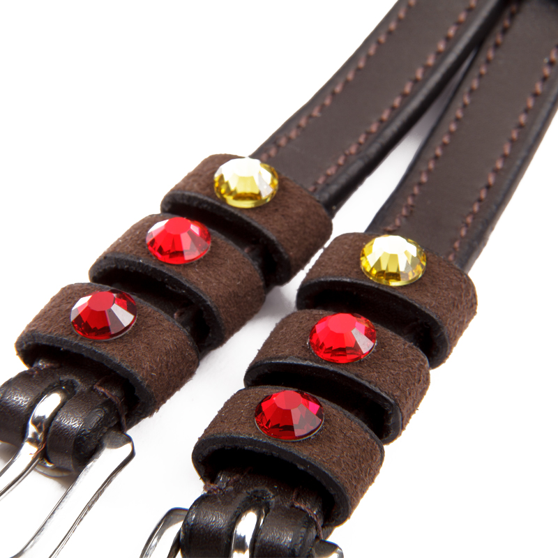 Sporenriemen "Seasons dreams"