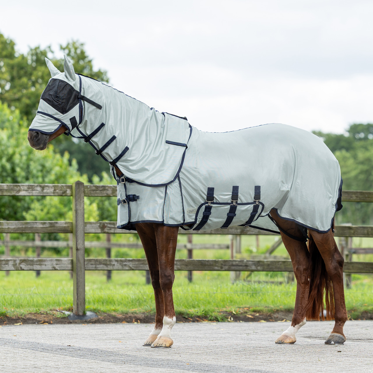 Fly rug with neck and bonnet