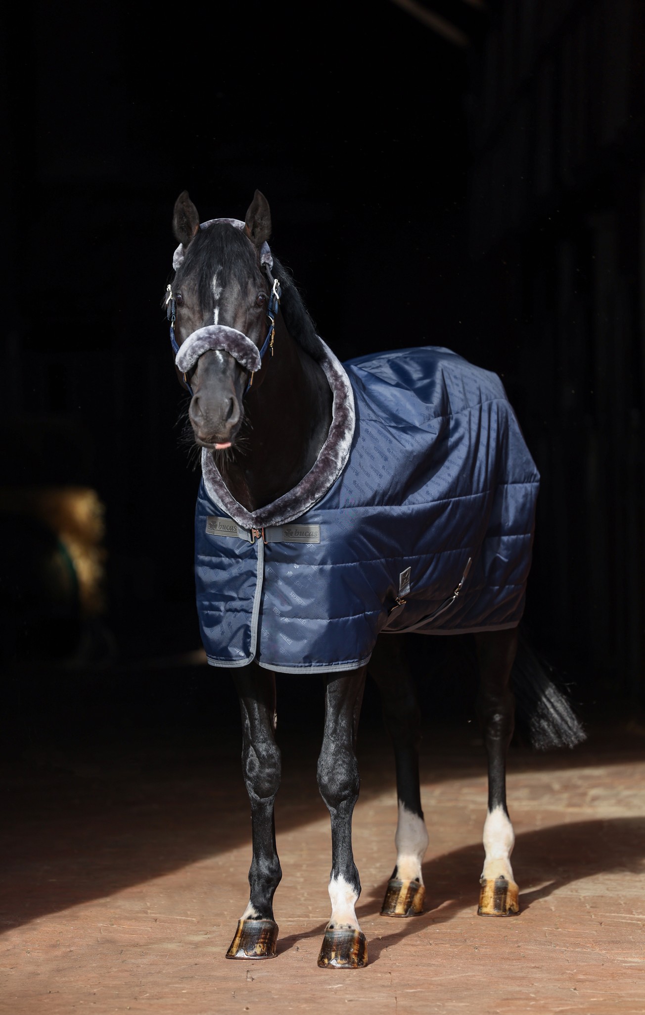 Stalldecke Show-Line in Navy/Grey