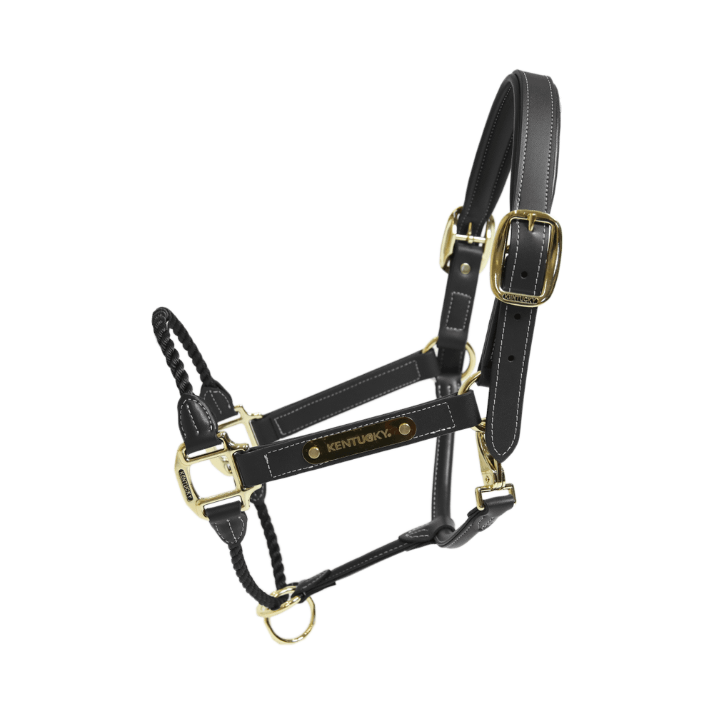 Rope leather halter