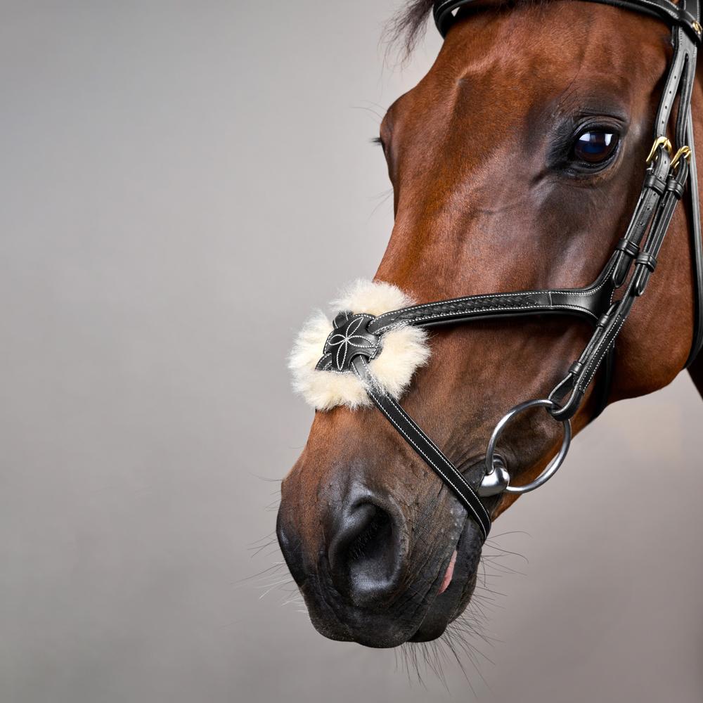 Trense mit geflochtenen mexikanischem Reithalfter DY |