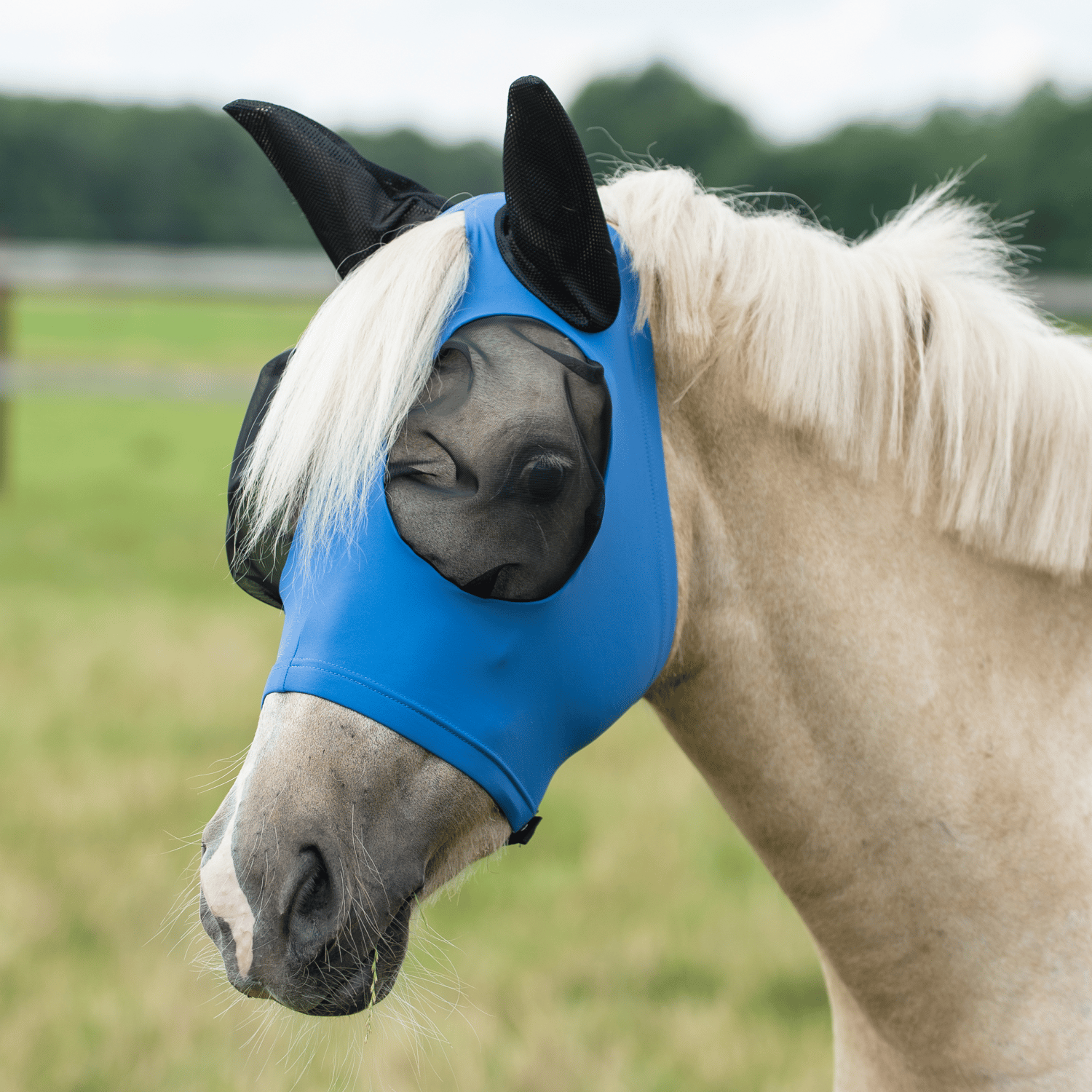 Twin Fit Flexi fly mask